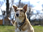 _DSC0704