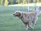_DSC0556